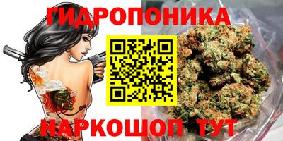 тгк Будённовск