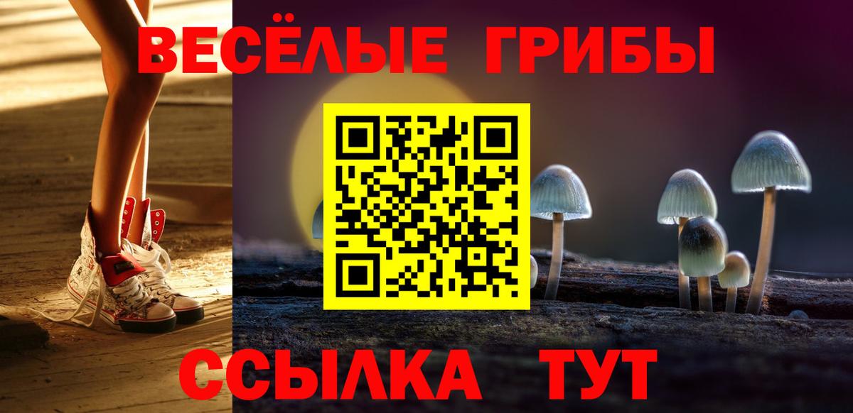 Псилоцибиновые грибы мухоморы Северобайкальск
