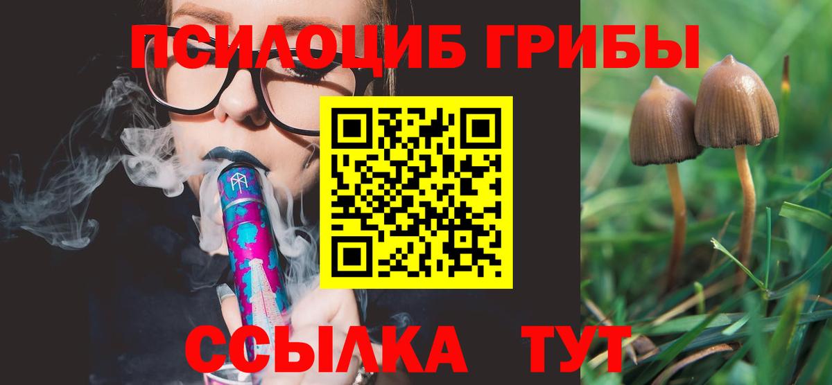 Галлюциногенные грибы Magic Shrooms  Вход с VPN  Галлюциногенные грибы мухоморы  Северобайкальск 